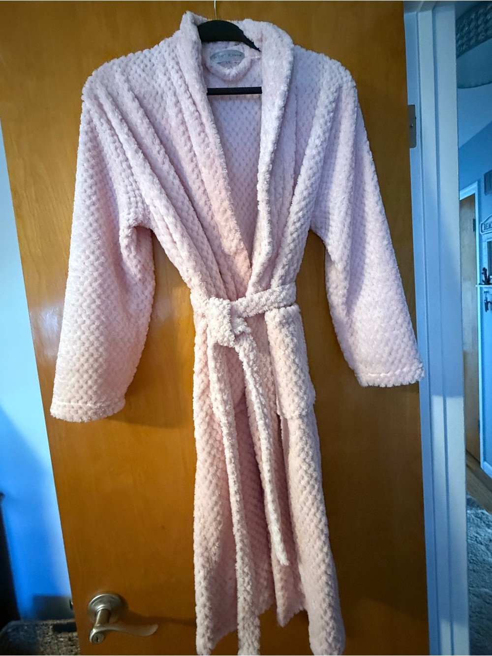 Betsey Johnson Plush Light Pink Robe